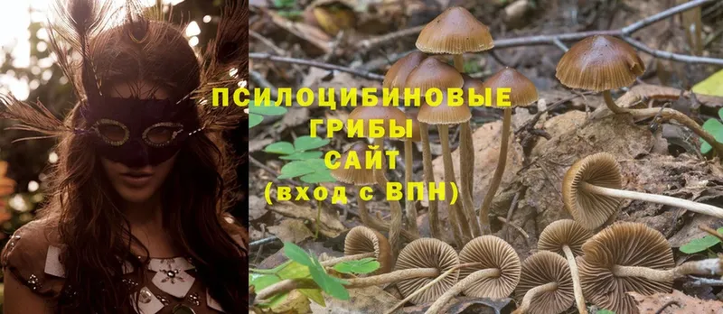 Псилоцибиновые грибы MAGIC MUSHROOMS  цены   нарко площадка состав  Лабытнанги 